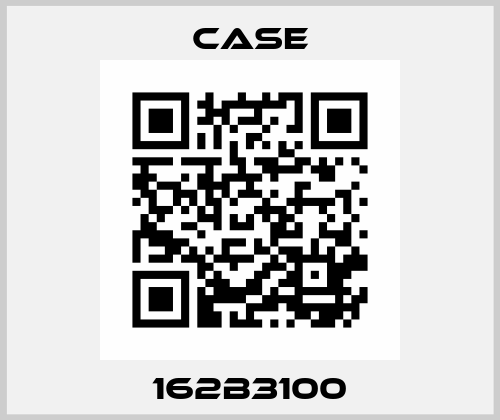 162B3100 CASE