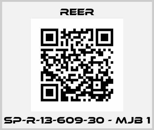 SP-R-13-609-30 - MJB 1 Reer