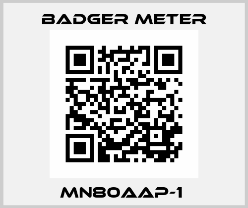 MN80AAP-1  Badger Meter