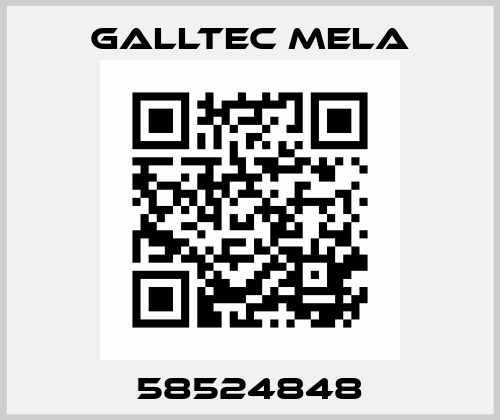 58524848 Galltec Mela