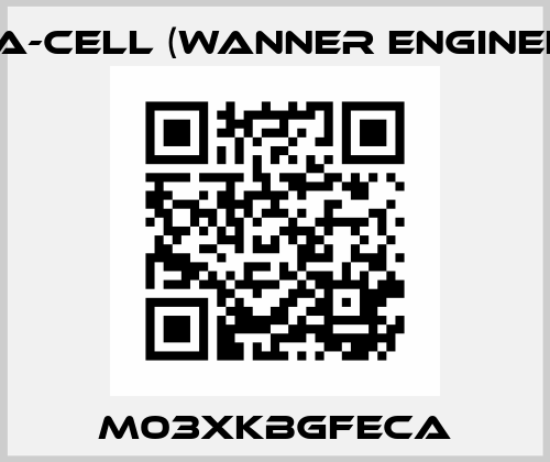 M03XKBGFECA Hydra-Cell (Wanner Engineering)