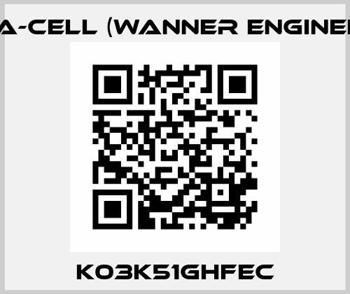 K03K51GHFEC Hydra-Cell (Wanner Engineering)