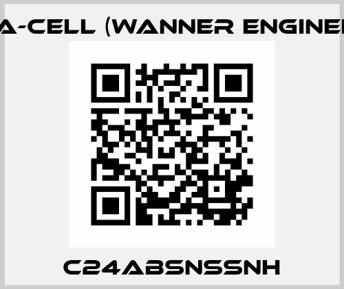 C24ABSNSSNH Hydra-Cell (Wanner Engineering)