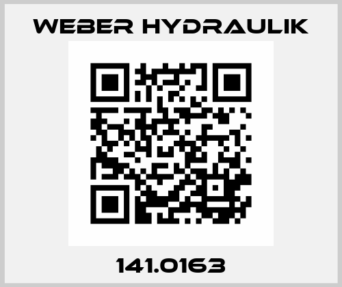 141.0163 Weber Hydraulik
