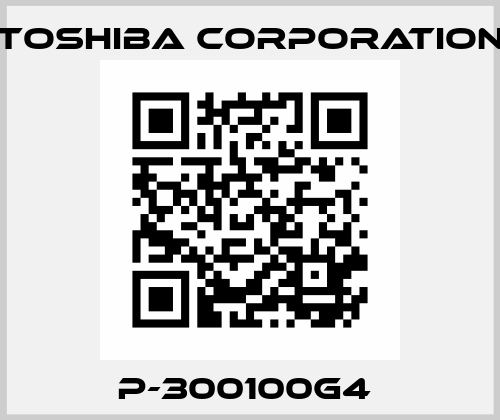 P-300100G4  TOSHIBA CORPORATION