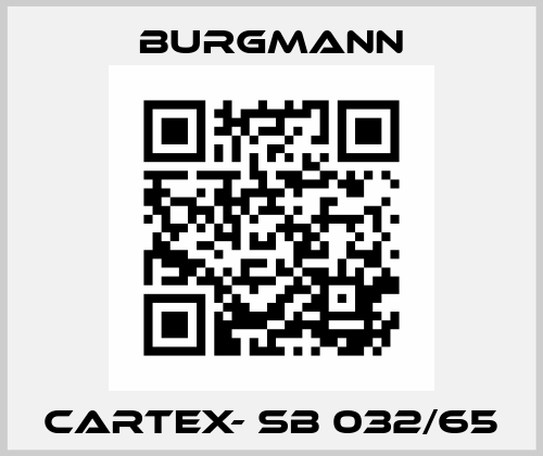 CARTEX- SB 032/65 Burgmann