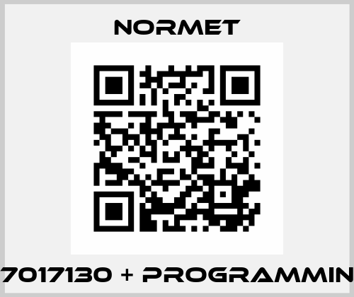 47017130 + programming Normet