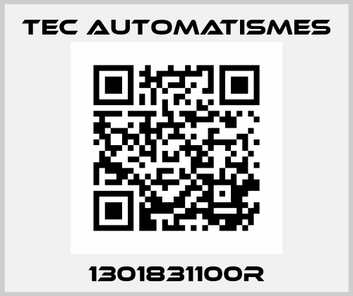 1301831100R TEC AUTOMATISMES