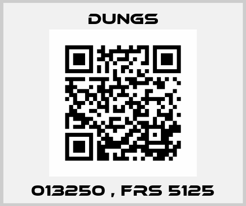 013250 , FRS 5125 Dungs