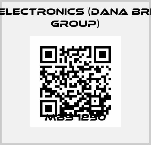 MBS 1250 BPE Electronics (Dana Brevini Group)