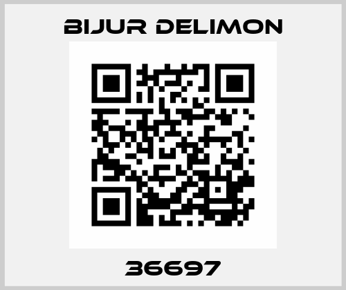 36697 Bijur Delimon