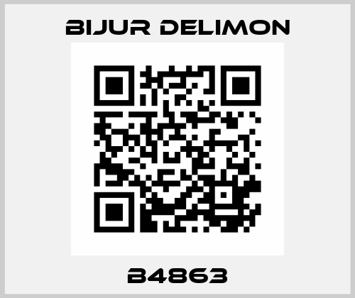 B4863 Bijur Delimon