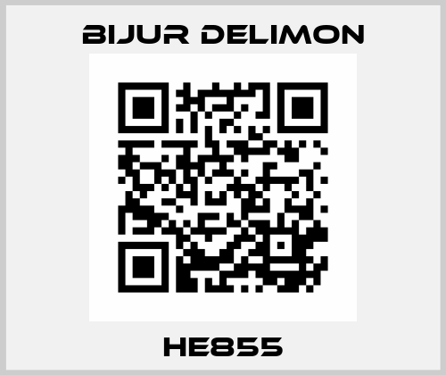 HE855 Bijur Delimon