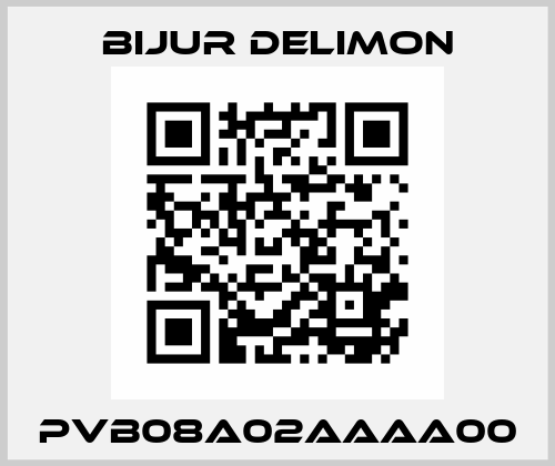 PVB08A02AAAA00 Bijur Delimon
