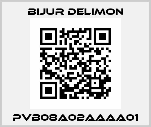 PVB08A02AAAA01 Bijur Delimon