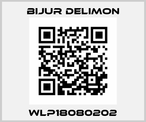 WLP18080202 Bijur Delimon