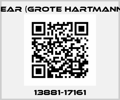13881-17161 Lear (Grote Hartmann)