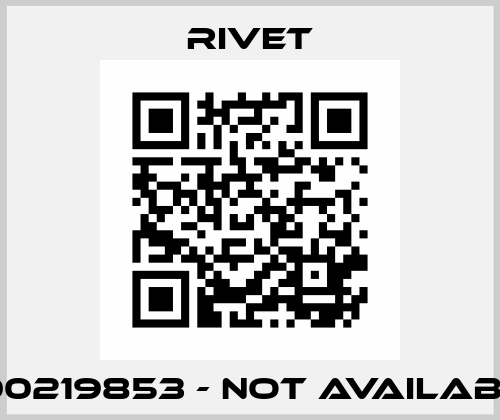 000219853 - not available Rivet