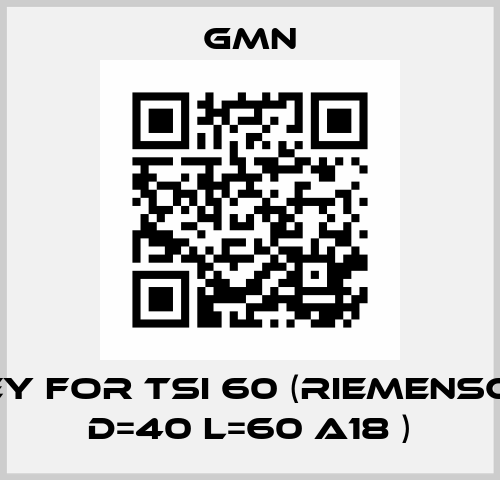 pulley for TSI 60 (Riemenscheibe D=40 L=60 A18 ) Gmn