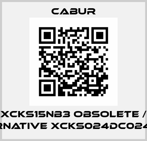 XCKS15NB3 obsolete / alternative XCKS024DC024DC03 Cabur