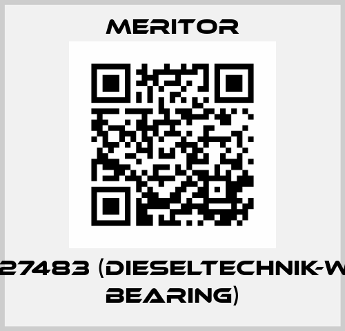 14227483 (DieselTechnik-with bearing) Meritor