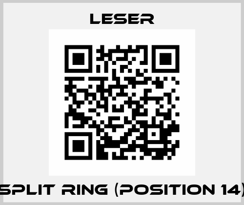 Split ring (position 14) Leser