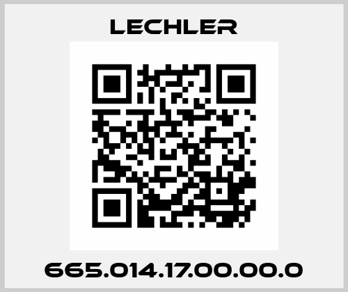 665.014.17.00.00.0 Lechler