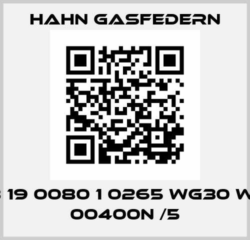 G 08 19 0080 1 0265 WG30 WG30 00400N /5 Hahn Gasfedern