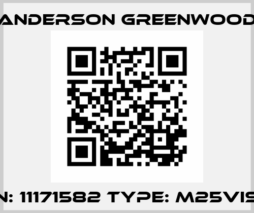 p/n: 11171582 type: M25VIS-4 Anderson Greenwood