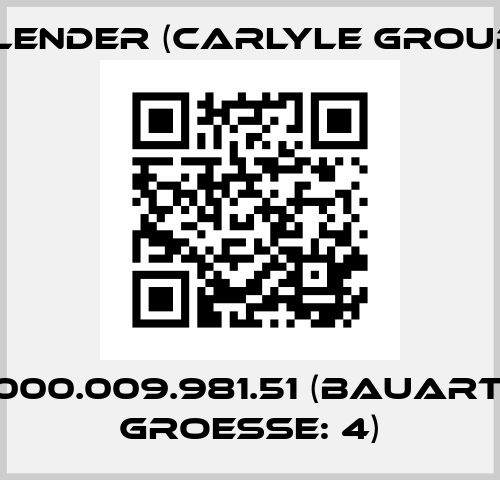 p/n 000.009.981.51 (Bauart: ZIN Groesse: 4) Flender (Carlyle Group)