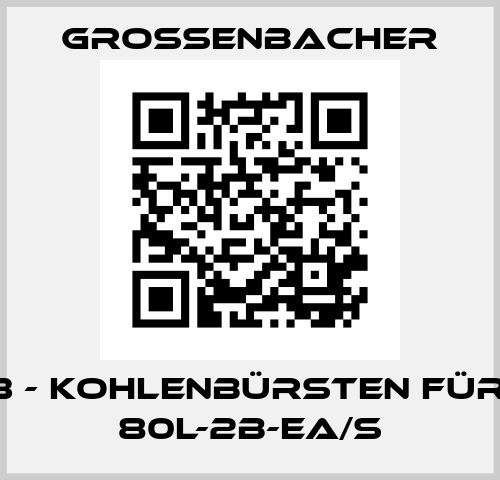 Pos.13 - Kohlenbürsten für GKCF 80L-2B-ea/S Grossenbacher