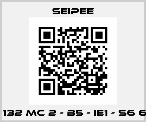 JM 132 MC 2 - B5 - IE1 - S6 60% SEIPEE