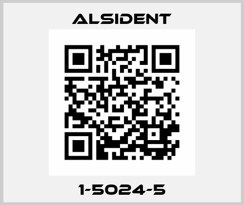 1-5024-5 Alsident