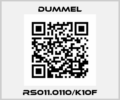 RS011.0110/K10F Dummel