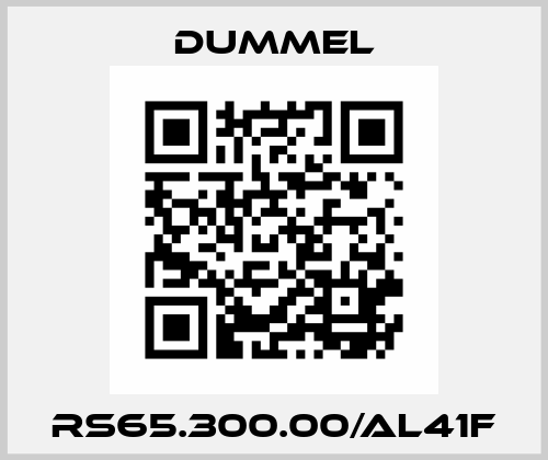 RS65.300.00/AL41F Dummel
