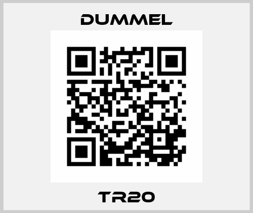TR20 Dummel