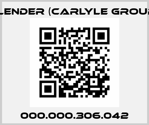 000.000.306.042 Flender (Carlyle Group)