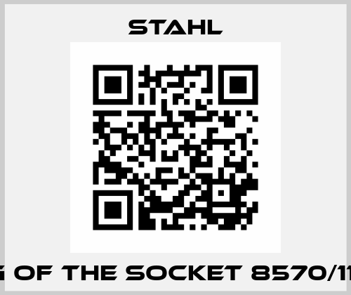 Plug of the socket 8570/11-306 Stahl