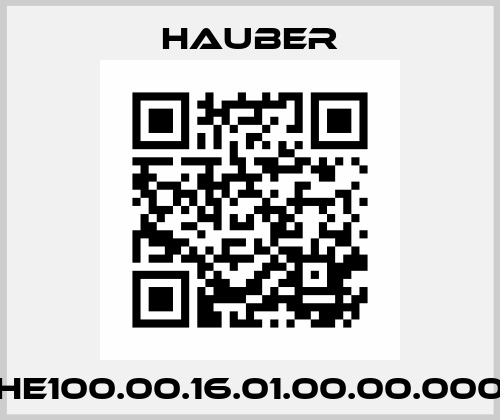 HE100.00.16.01.00.00.000 HAUBER
