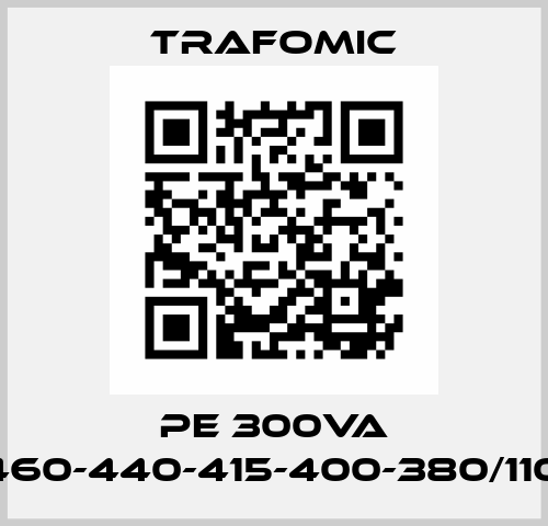 PE 300VA 480-460-440-415-400-380/110-24V Trafomic