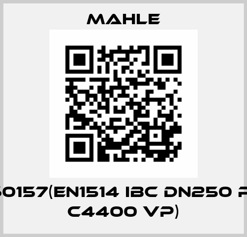 72460157(EN1514 IBC DN250 PN6 2 C4400 VP) MAHLE