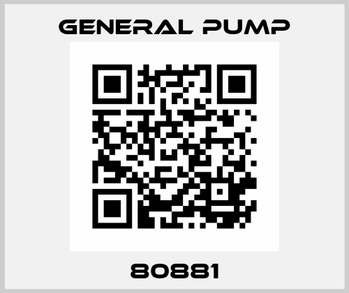 80881 General Pump