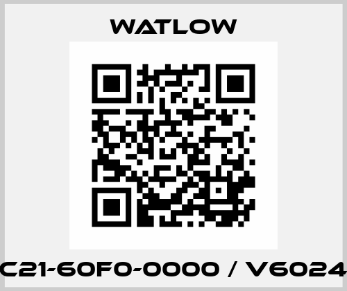 DC21-60F0-0000 / V60248 Watlow