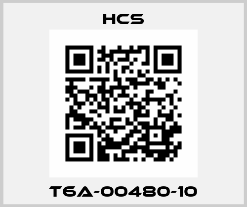 T6A-00480-10 HCS