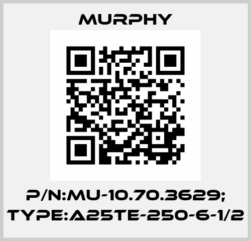 P/N:MU-10.70.3629; Type:A25TE-250-6-1/2 Murphy