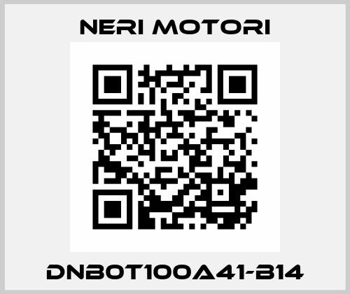 DNB0T100A41-B14 Neri Motori