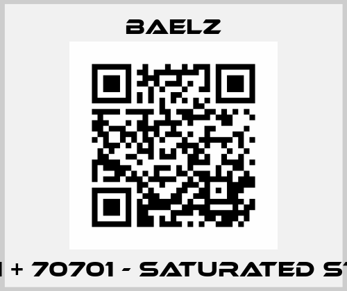 70601 + 70701 - SATURATED STEAM Baelz