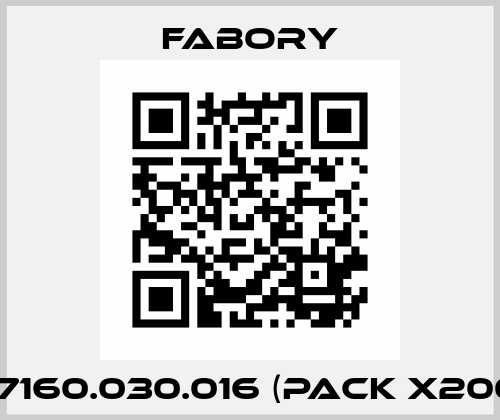 07160.030.016 (pack x200) Fabory