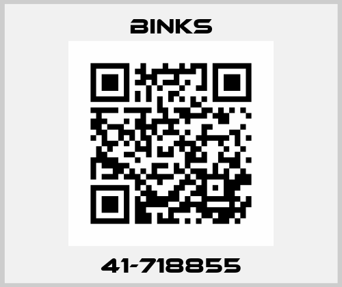 41-718855 Binks