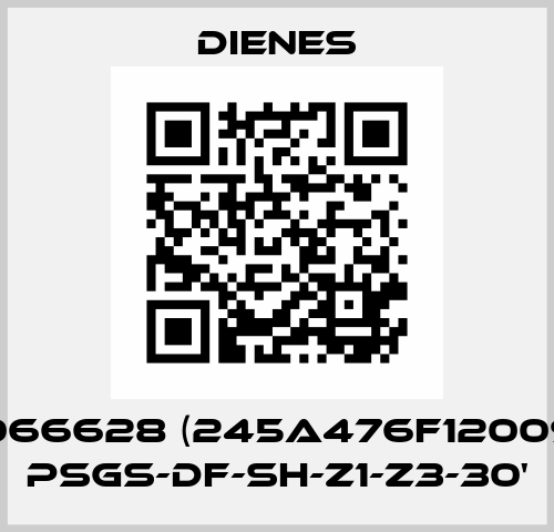 10066628 (245A476F12009) / PSGs-DF-SH-Z1-Z3-30' Dienes